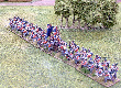 4th Foot - British