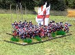 King James Footguards