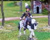 The Prince of Orange - Dutch
