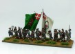 Danish Regiment Fynske