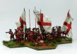 Irish Footguards on hexes