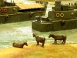 Pastoral river scene