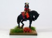 Staff officer /Aide to senior commander