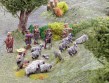 Gunter worries sheep