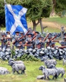 Scots Militia shooting sheep in Ayrshire!