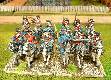 Gardes du Corps