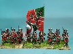 Regiment Montcashel(2)