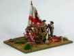 The casaulty cart