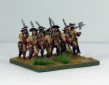 Danish Footguards