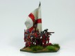 Irish Guards right hand hex