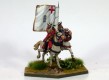  Colonel Wolseley and the Enniskillen men