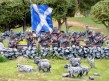 Scots Militia shooting sheep in Ayrshire!