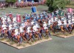 Steve Shanns French Horse