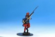 Swedish Infantry