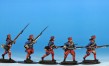 Swedish Infantry