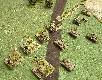 View of American left flank
